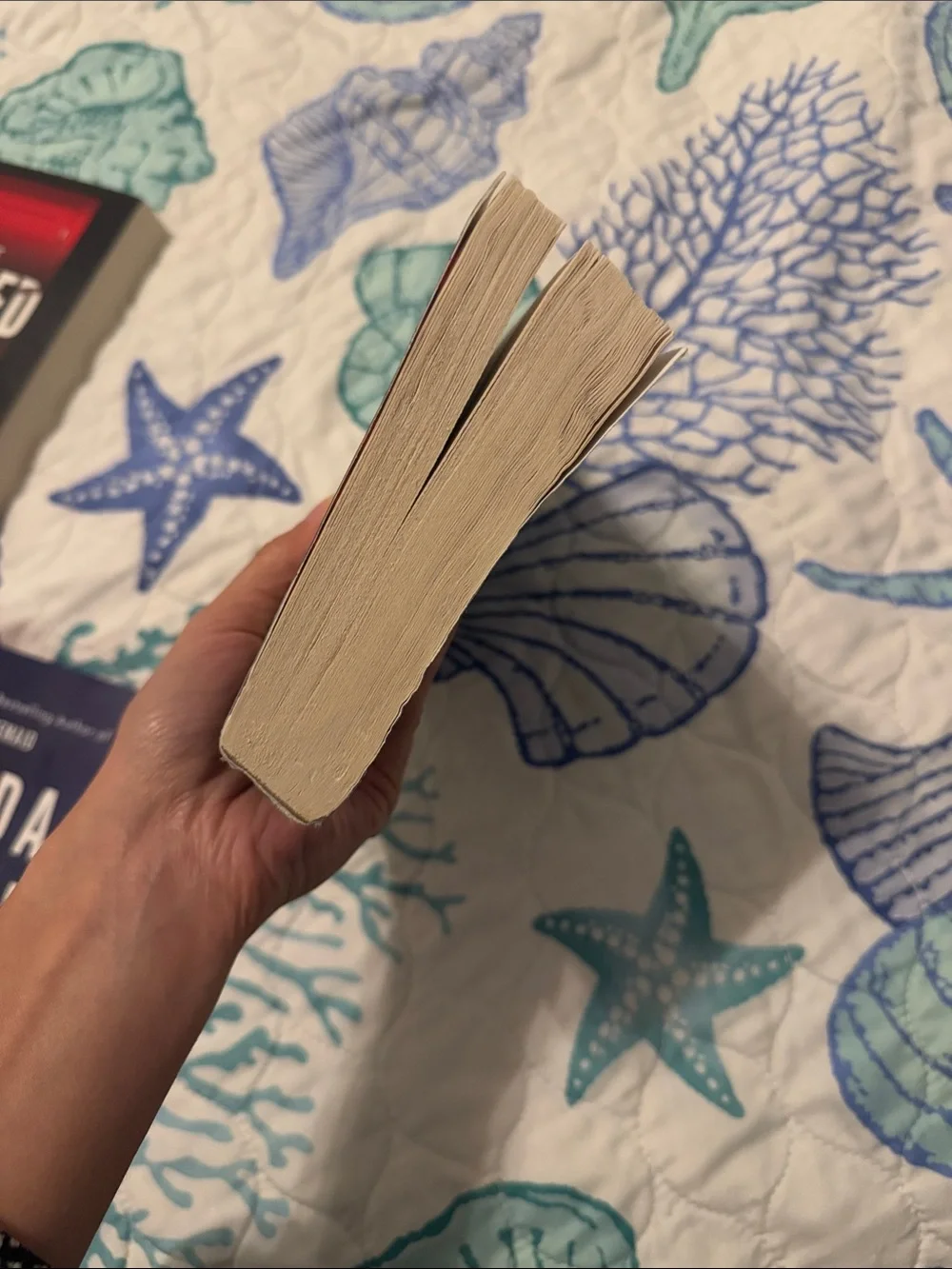 3 Freida McFadden Books Bundle 📚